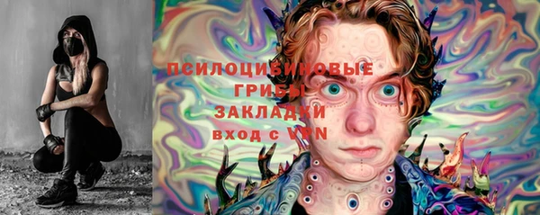 экстази Гусь-Хрустальный
