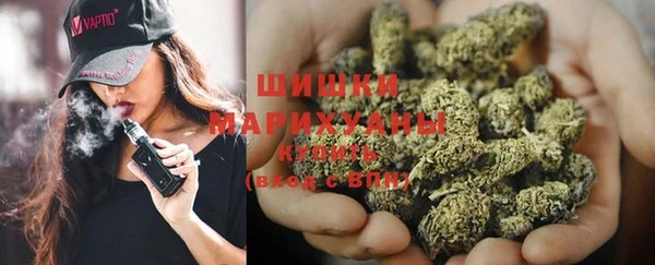 Альфа ПВП Гусиноозёрск